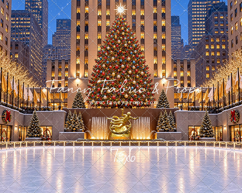 Wintertime Skating Rink - with Sweep Option