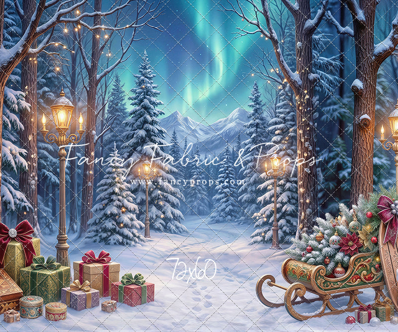 Aurora Winter Walk - with Sweep Option