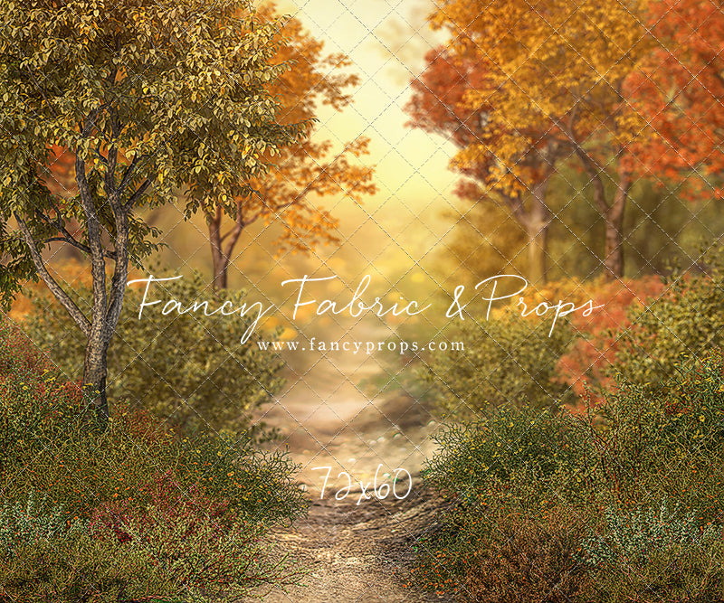 Autumn Forest Path - With Sweep Option
