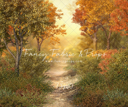 Autumn Forest Path - With Sweep Option