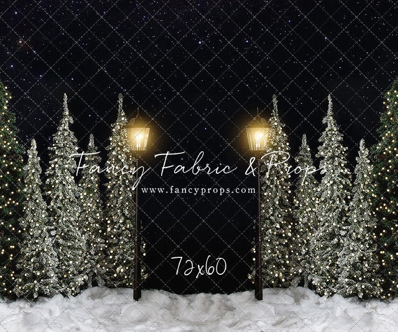 Christmas Forest Path