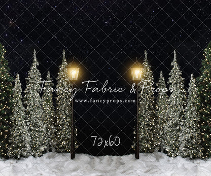 Christmas Forest Path