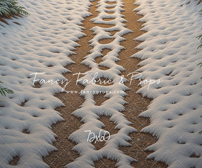 Christmas Path - Floor