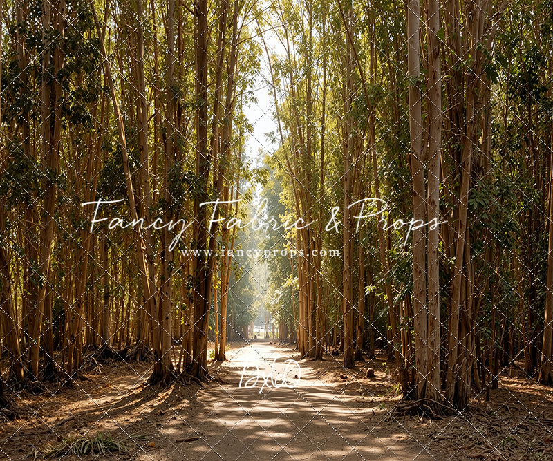 Eucalyptus Forest - With Sweep Option