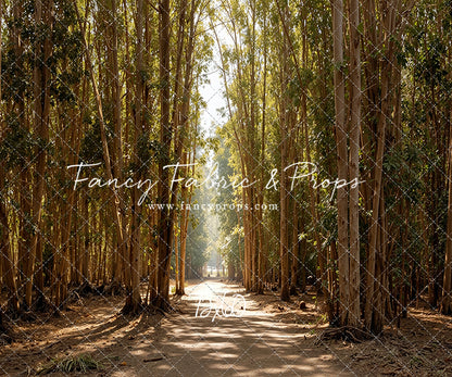 Eucalyptus Forest - With Sweep Option