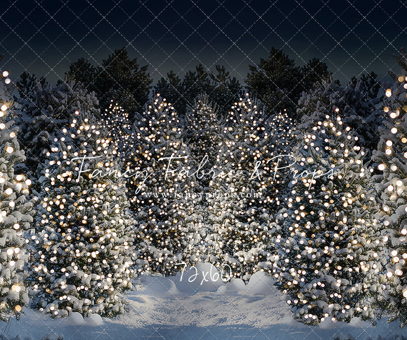 Evening Snowy Winter Tree Farm - No Gate