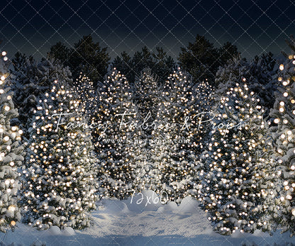 Evening Snowy Winter Tree Farm - No Gate