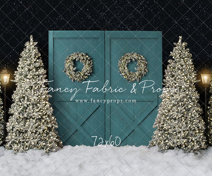 Fancy Blue Barn Doors