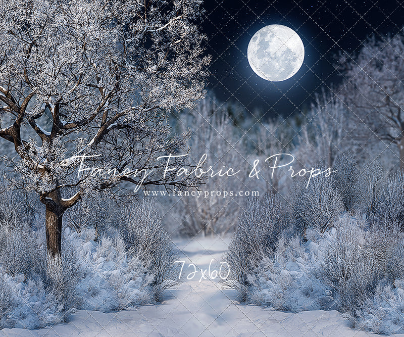 Frosty Winter Night - with Sweep Option
