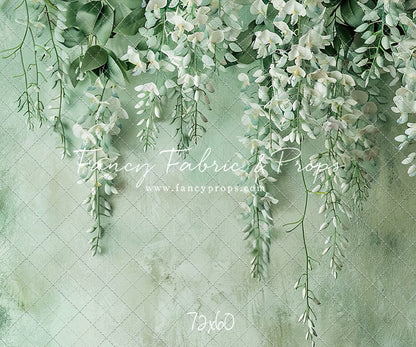 Painted White Wisteria