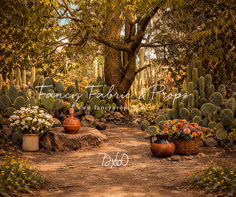 Sunlit Cactus Garden - With Sweep Option