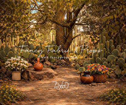 Sunlit Cactus Garden - With Sweep Option