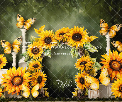 Sunny Flowers & Butterflies