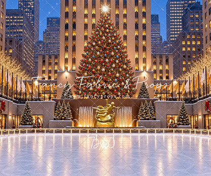 Wintertime Skating Rink - with Sweep Option