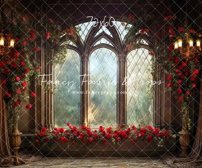 Belle's Castle Window