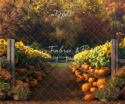 Sunflower Valley Trail - With Sweep Option