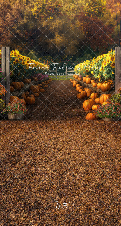 Sunflower Valley Trail - With Sweep Option