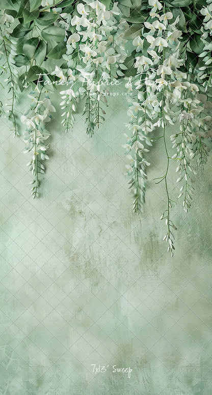 Painted White Wisteria
