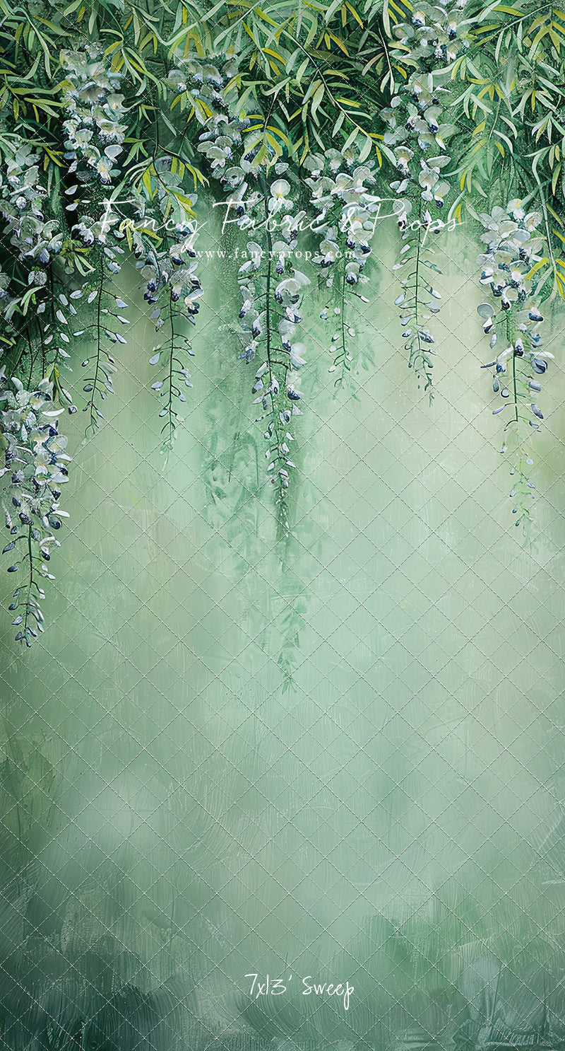 Painted Wisteria