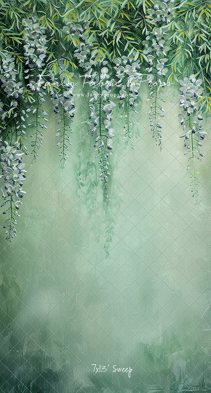 Painted Wisteria