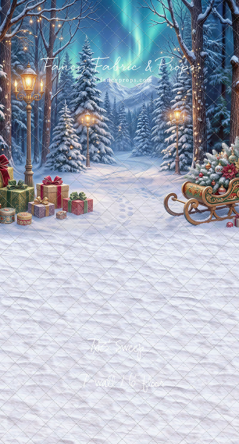 Aurora Winter Walk - with Sweep Option