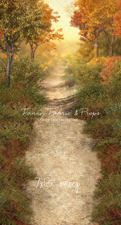 Autumn Forest Path - With Sweep Option