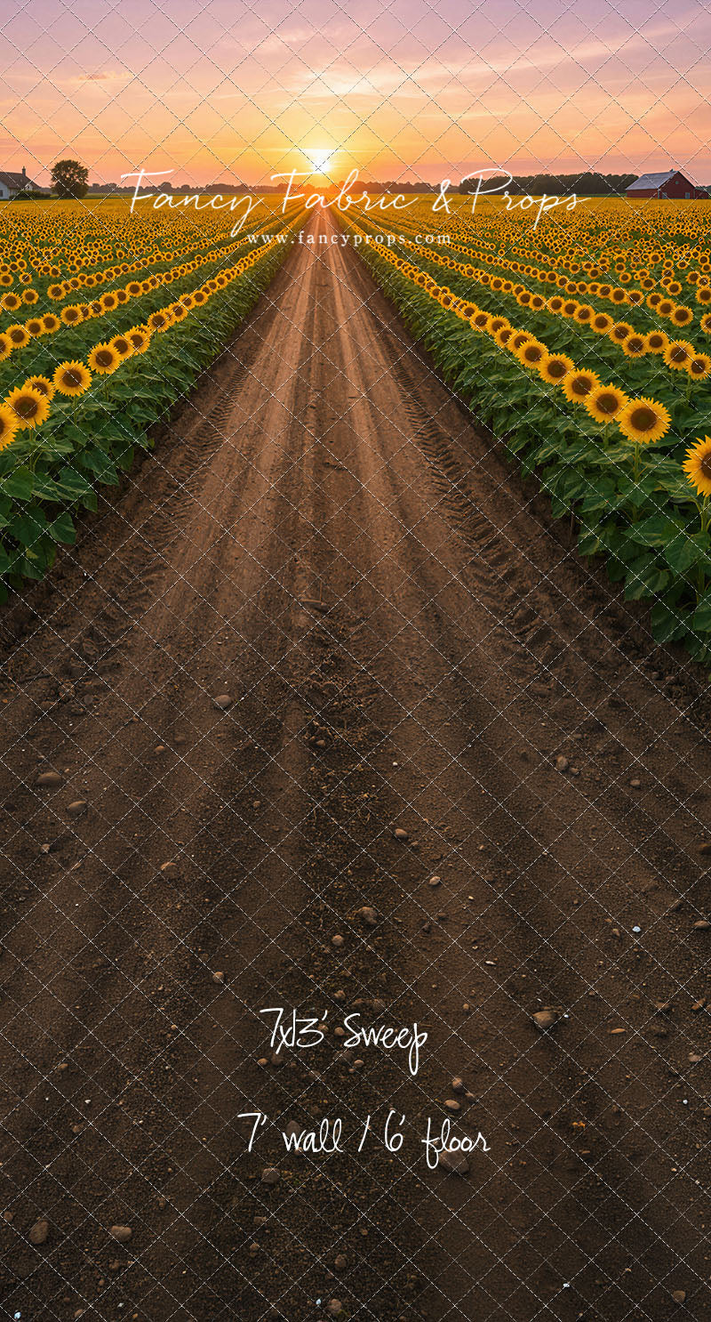 Sunflower Road - With Sweep Option