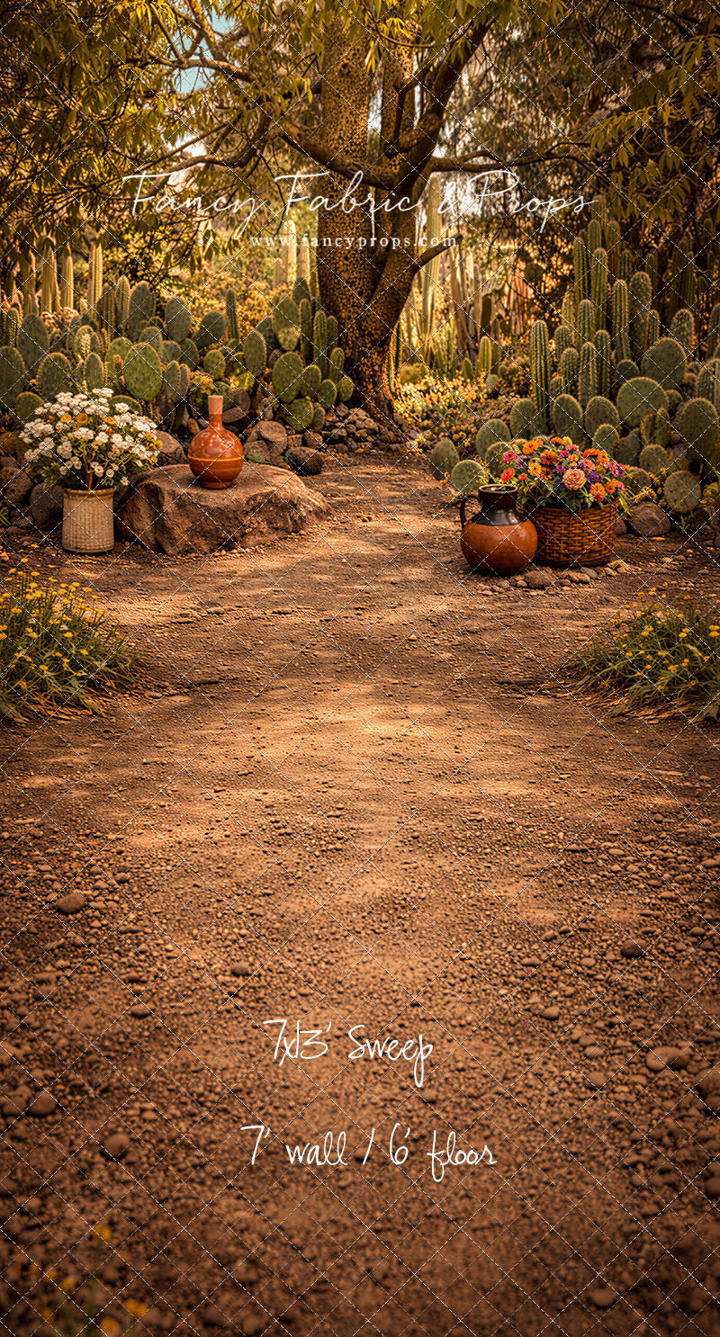 Sunlit Cactus Garden - With Sweep Option
