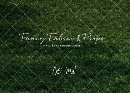 Freedom Ride Grass - Mat Floor