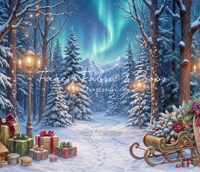 Aurora Winter Walk - with Sweep Option