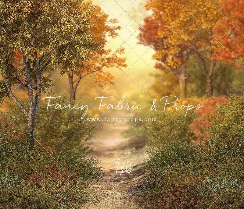 Autumn Forest Path - With Sweep Option