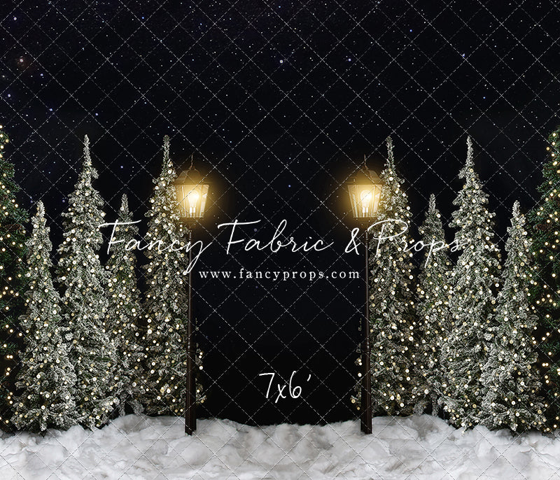 Christmas Forest Path