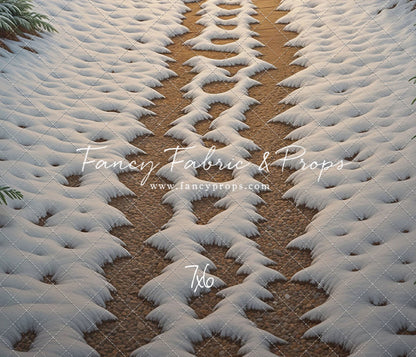 Christmas Path - Floor