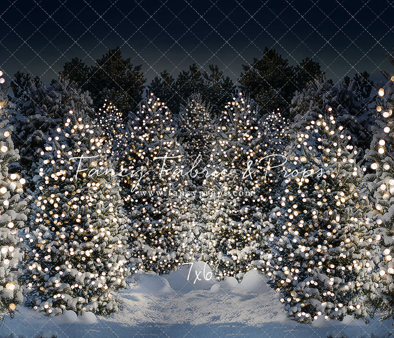 Evening Snowy Winter Tree Farm - No Gate