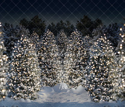 Evening Snowy Winter Tree Farm - No Gate