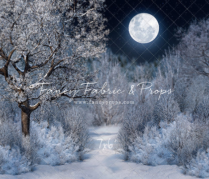 Frosty Winter Night - with Sweep Option