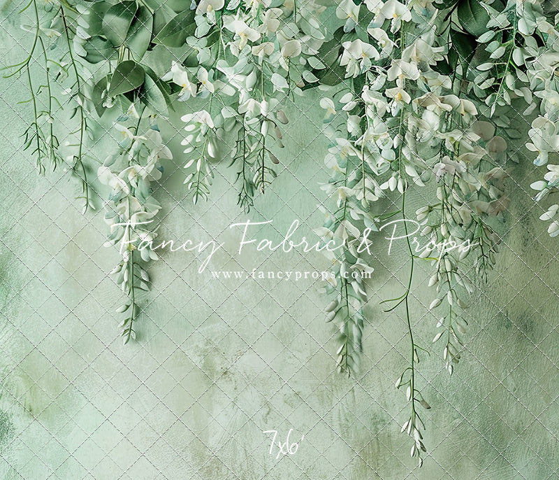 Painted White Wisteria