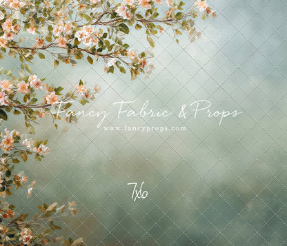 Spring Lattice - With Sweep Option