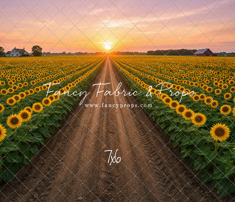 Sunflower Road - With Sweep Option