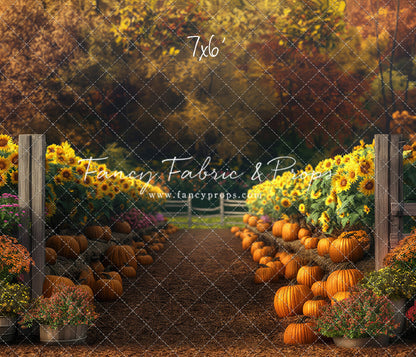 Sunflower Valley Trail - With Sweep Option