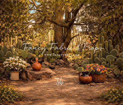 Sunlit Cactus Garden - With Sweep Option