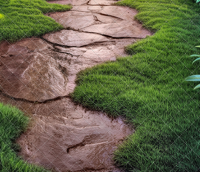 Whimsy Woodland Trail - Floor