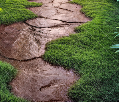 Whimsy Woodland Trail - Floor