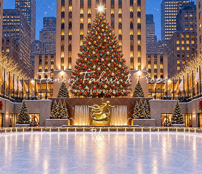 Wintertime Skating Rink - with Sweep Option