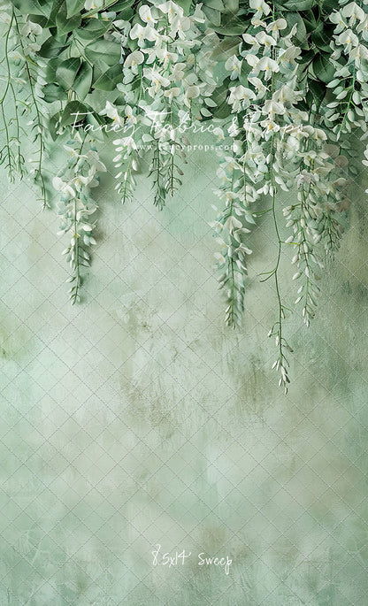 Painted White Wisteria