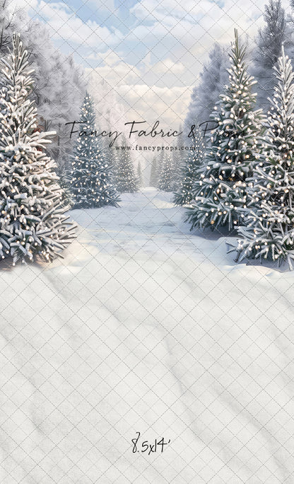 Snowy Tree Farm Trail - with Sweep Option