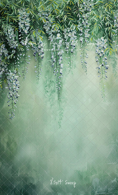 Painted Wisteria