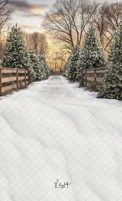 Twinkling Pines Trail - With Sweep Option