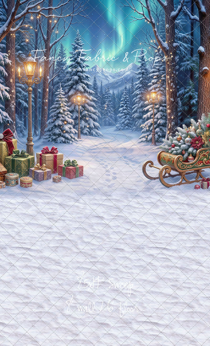 Aurora Winter Walk - with Sweep Option