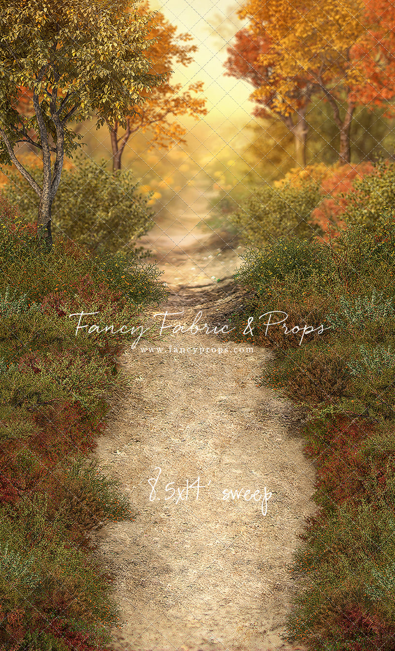 Autumn Forest Path - With Sweep Option